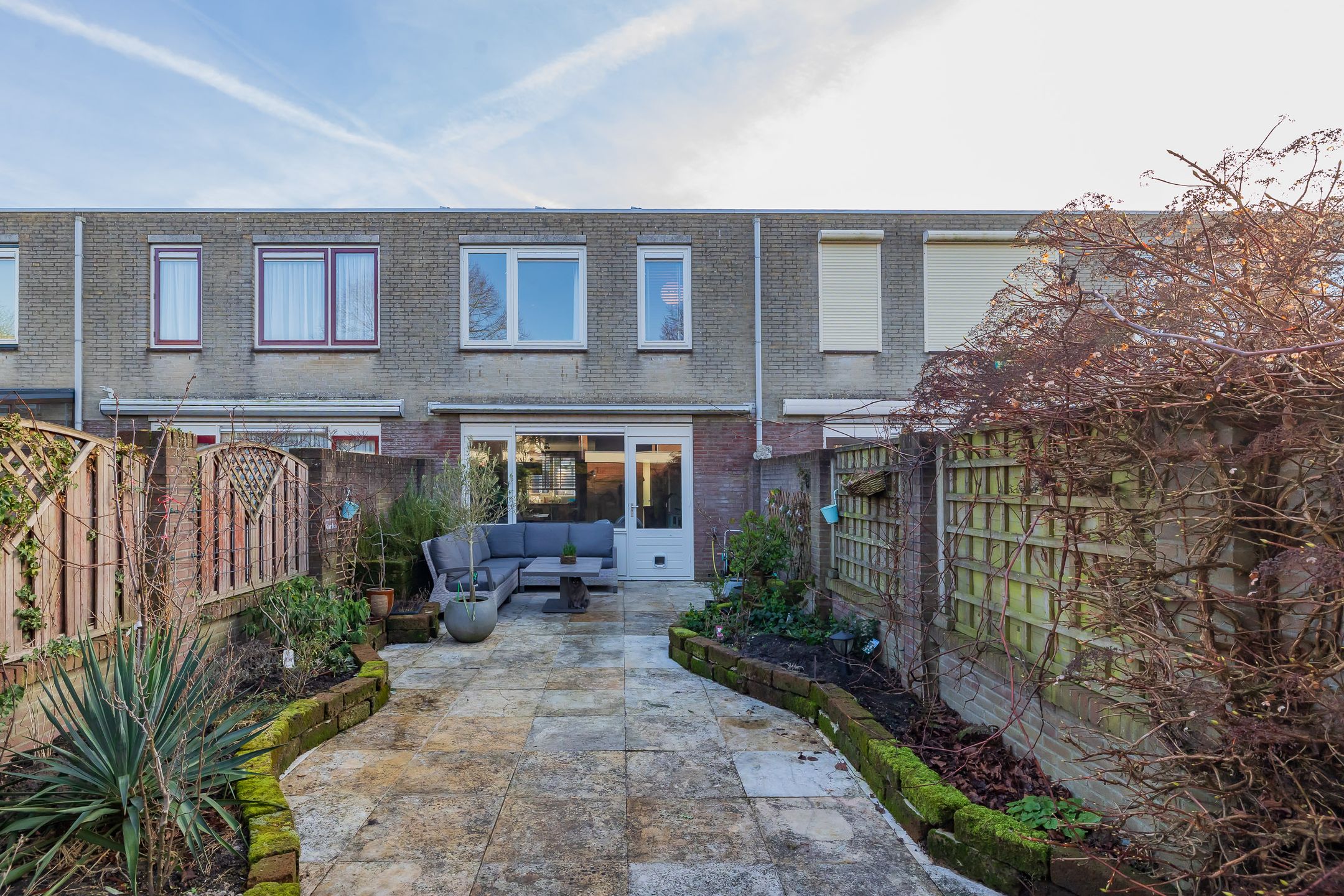 Photo 6 of Stokroos 8