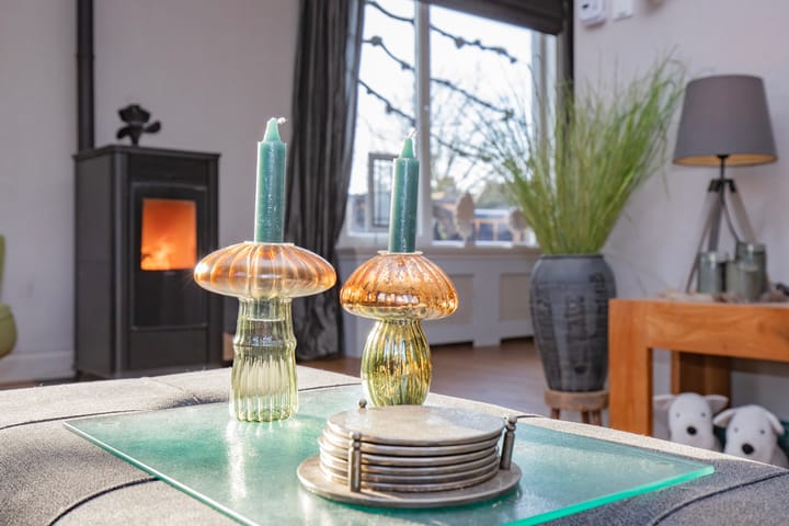 Photo 12 of Lindenlaan 53