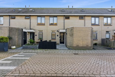 Willem Dreeshof thumbnail