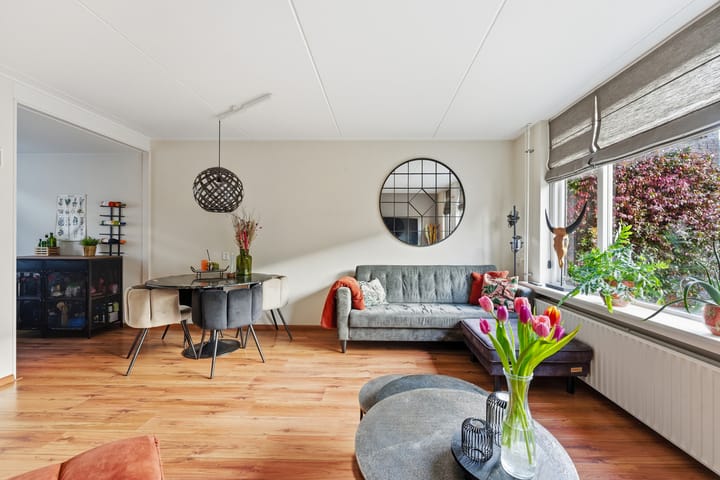 Photo 8 of Willem Dreeshof 37