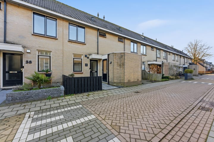 Photo 39 of Willem Dreeshof 37