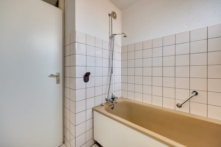 Foto 27 van Rosmolen 188