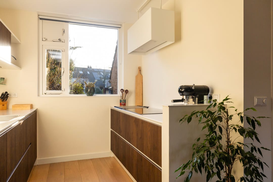 Photo 17 of Plein Vogelzang 26