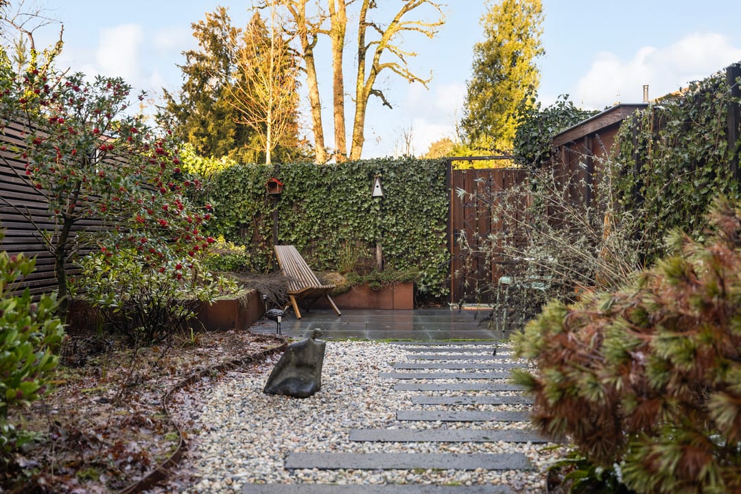 Photo 23 of Plein Vogelzang 26