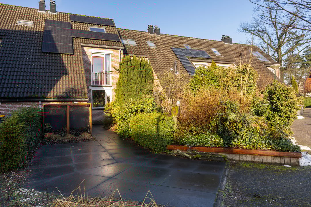 Photo 26 of Plein Vogelzang 26