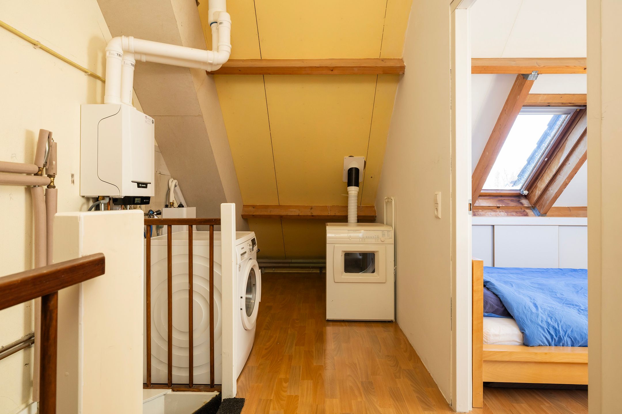 Photo 42 of Plein Vogelzang 26