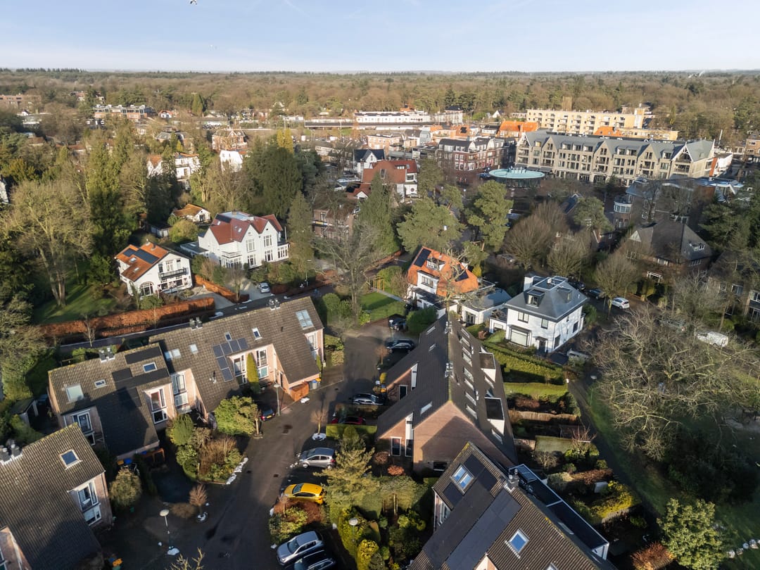 Photo 43 of Plein Vogelzang 26