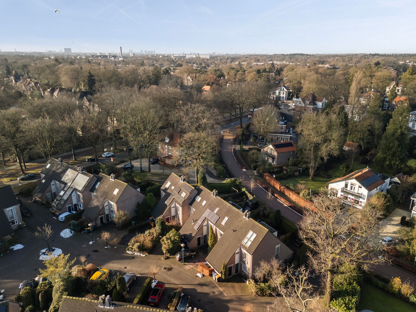 Photo 44 of Plein Vogelzang 26