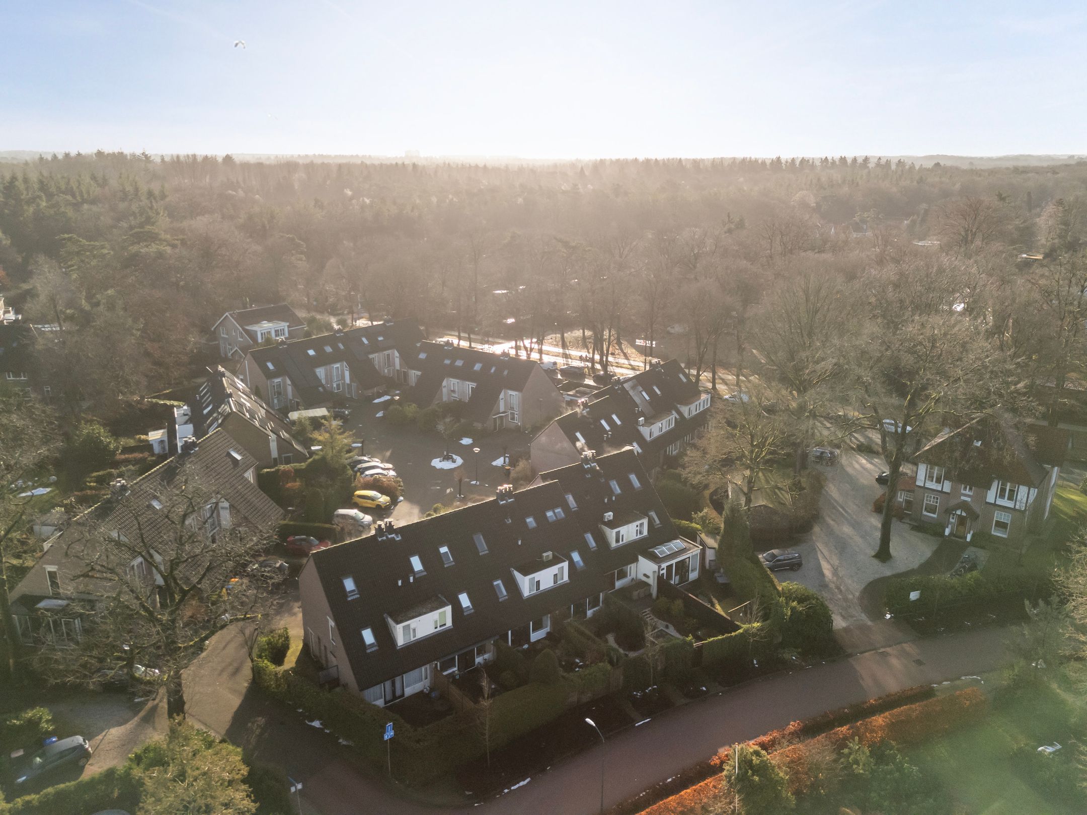 Photo 45 of Plein Vogelzang 26