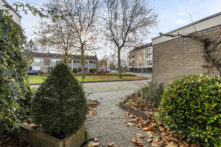 Foto 4 van Aardjesberg 3