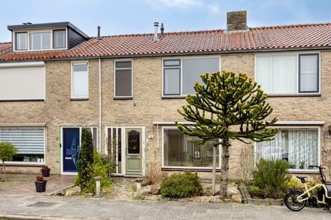 undefined main image