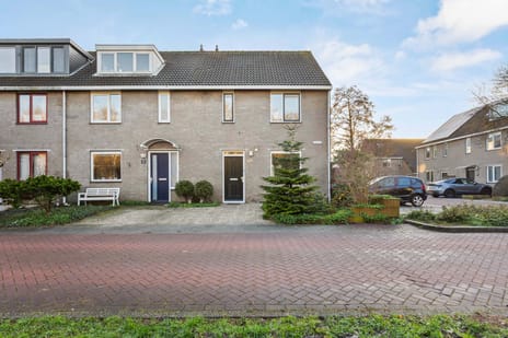 undefined main image