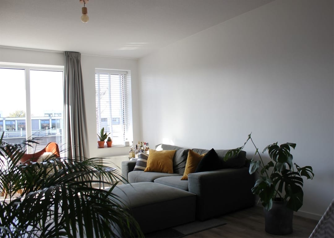 Photo 8 of Evenaar 29