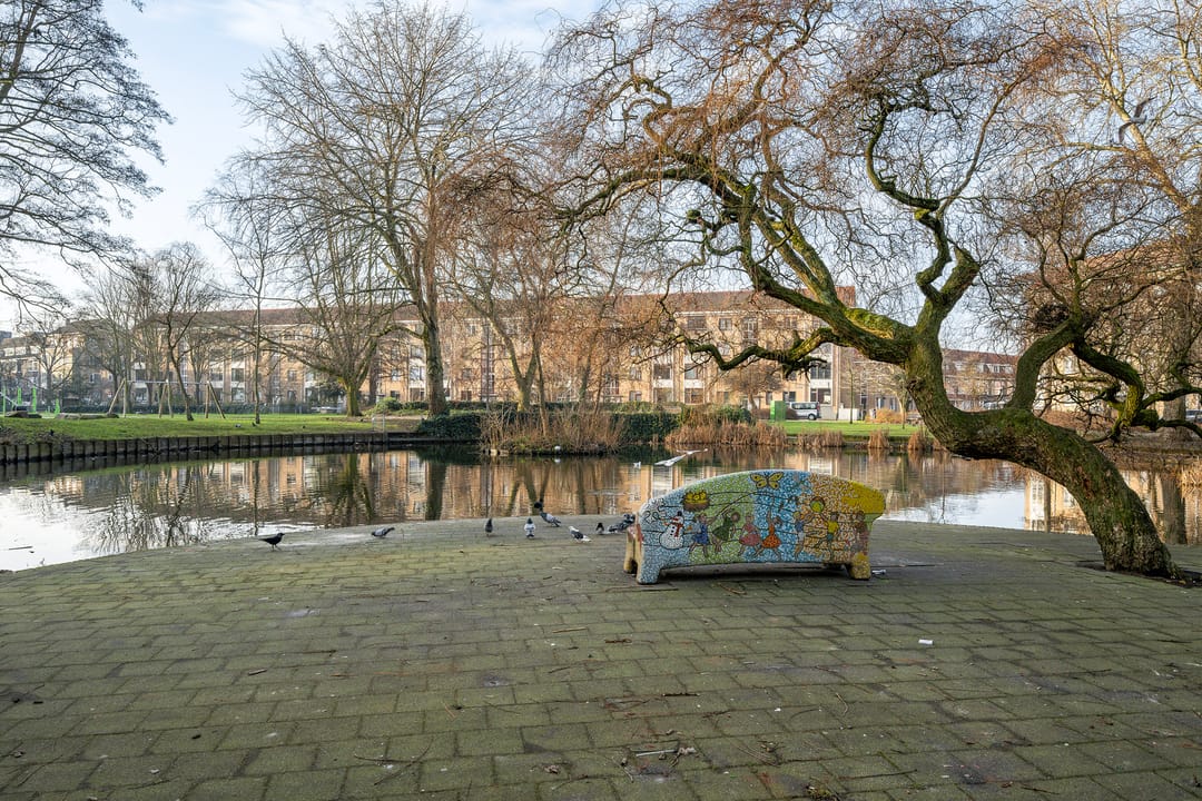 Foto 31 van Vettenoordstraat 67-C