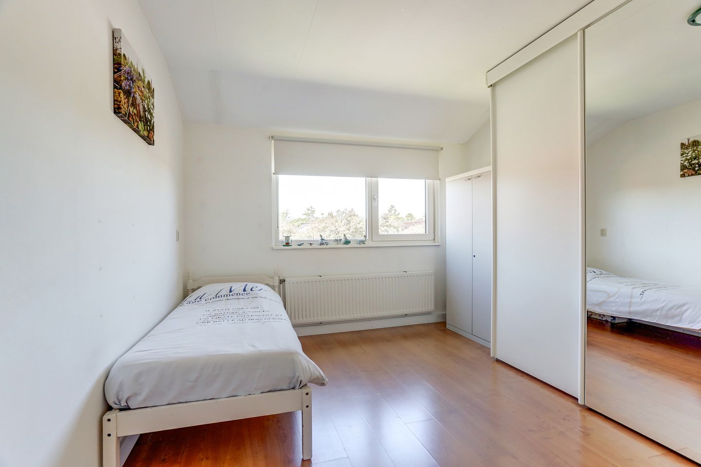 Foto 20 van Burgplantsoen 2