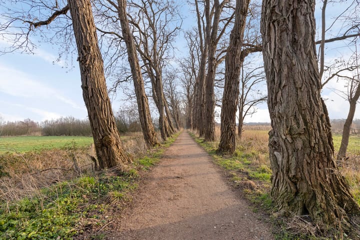 Foto 46 van Tilburgseweg 4