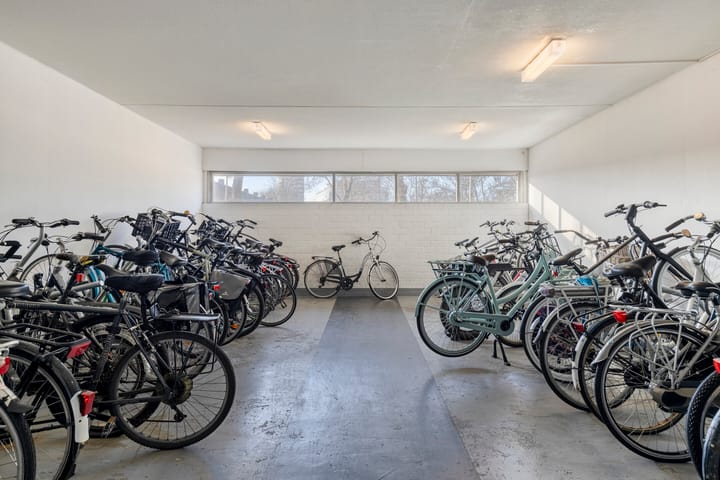 Foto 22 van Boeierstraat 217