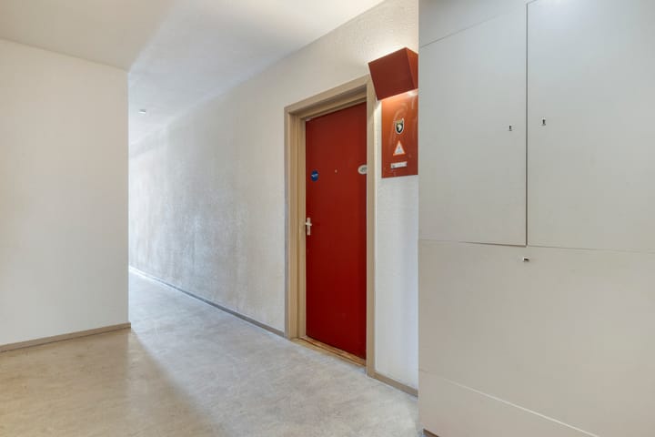 Foto 7 van Boeierstraat 217