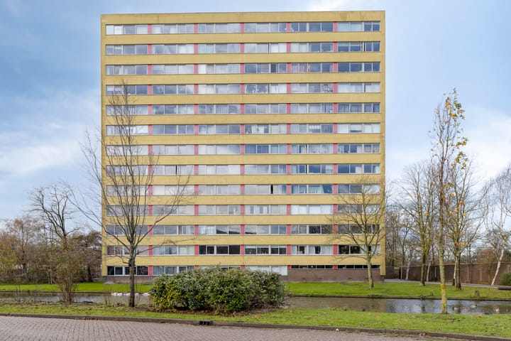 Foto 27 van Boeierstraat 217