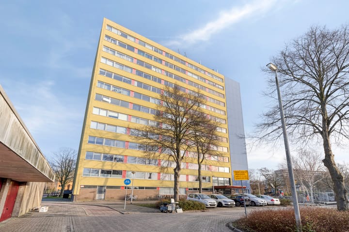 Foto 28 van Boeierstraat 217