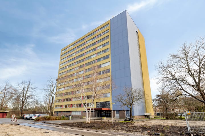 Foto 30 van Boeierstraat 217