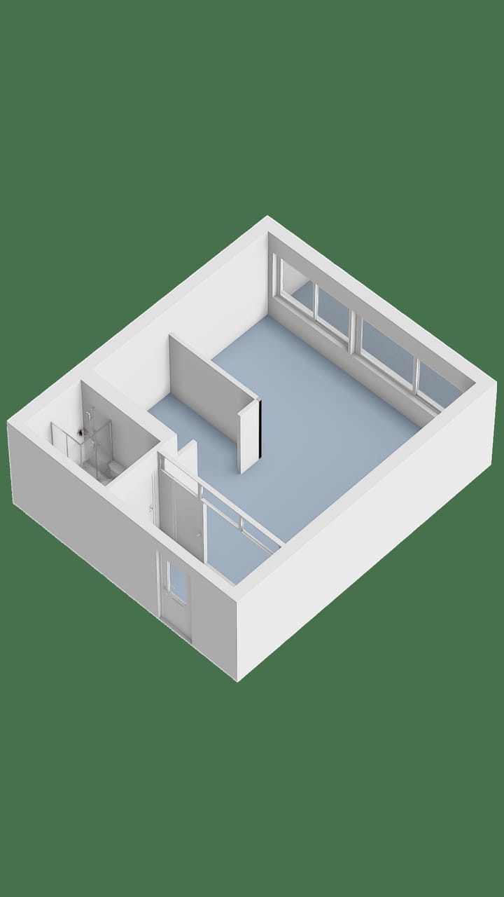 Foto 36 van Boeierstraat 217