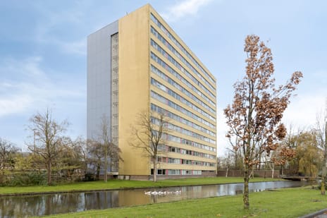 Boeierstraat thumbnail