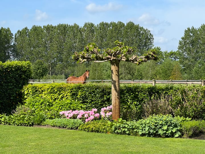 Foto 42 van Florentiusdreef 11