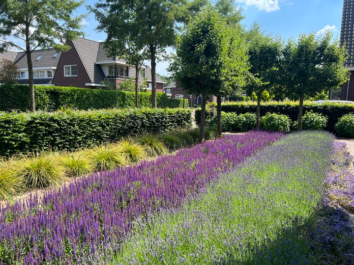 Foto 45 van Florentiusdreef 11