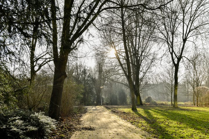 Foto 15 van Wildenborch 15