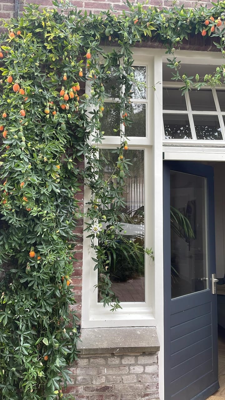 Foto 43 van St Rochusstraat 39