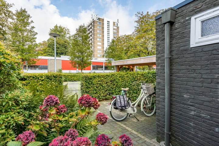 Foto 35 van Sweelincklaan 49