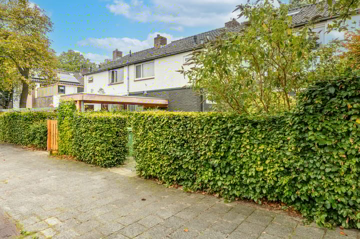 Foto 37 van Sweelincklaan 49