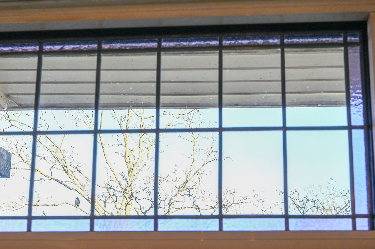 Foto 20 van Jozef Israëlslaan 78