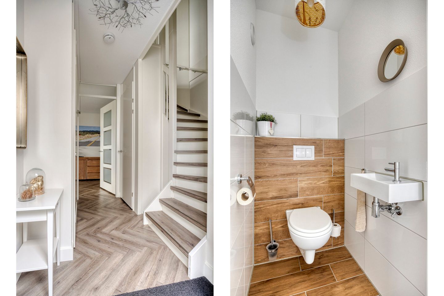 Photo 4 of Citroenvlinder 25