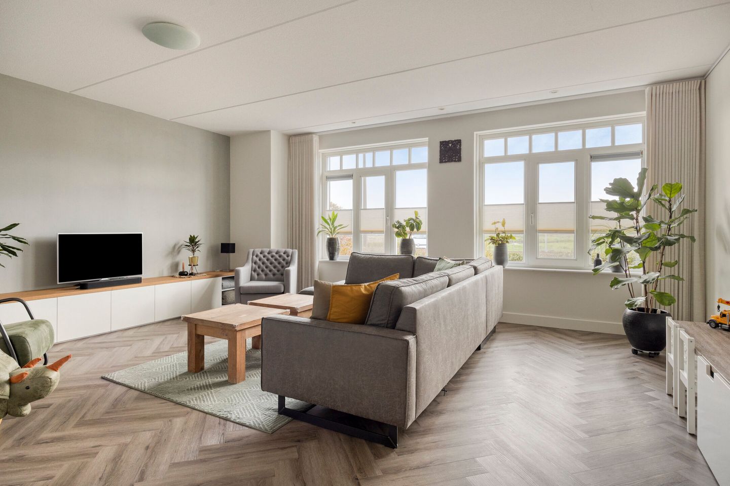 Photo 5 of Citroenvlinder 25