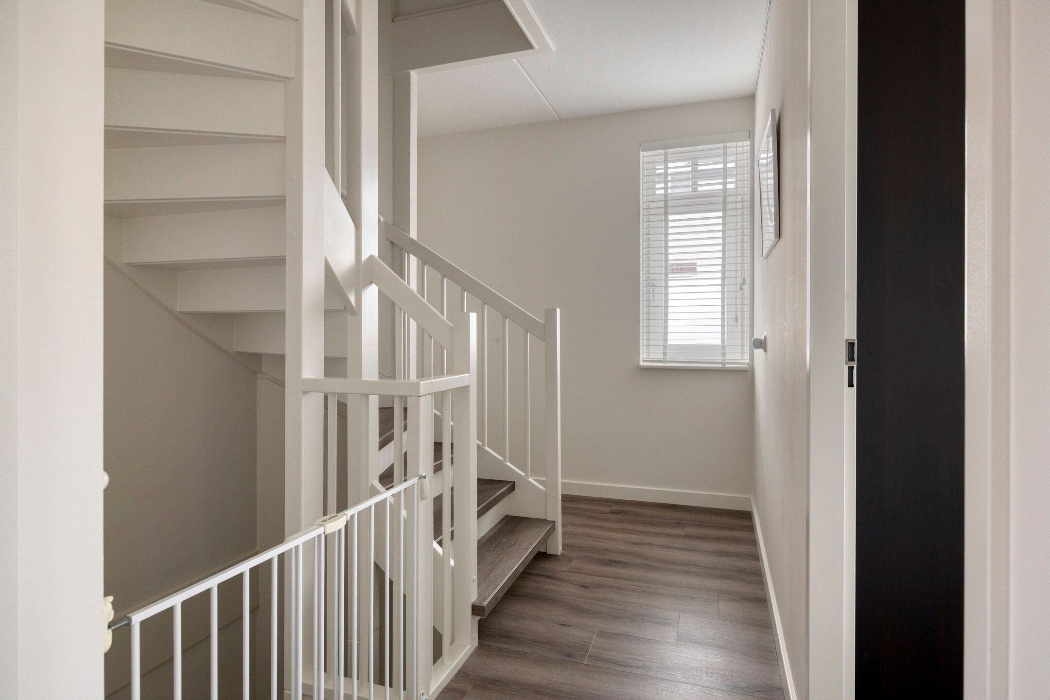 Photo 18 of Citroenvlinder 25