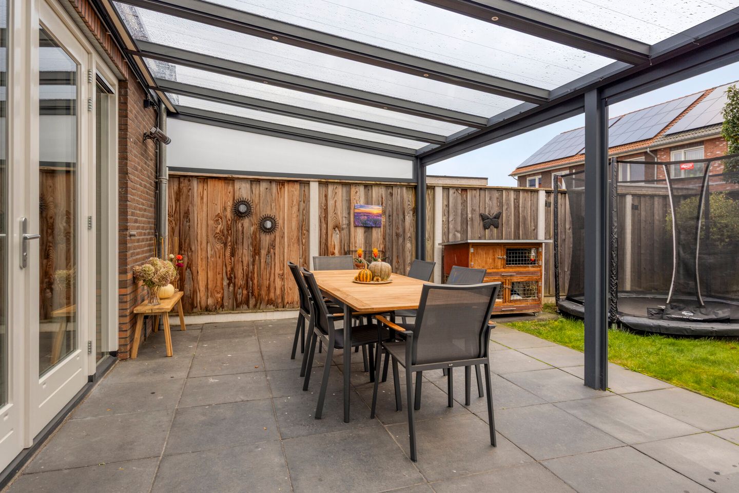 Photo 35 of Citroenvlinder 25