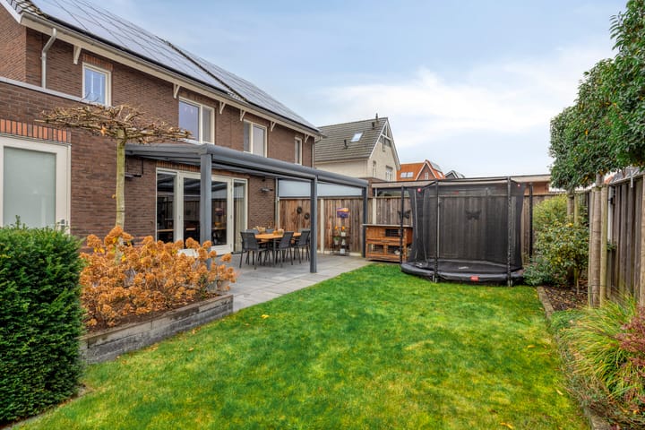 Foto 36 van Citroenvlinder 25