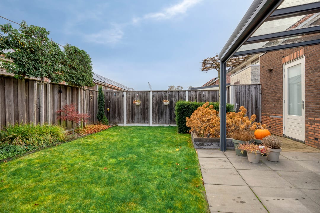 Photo 37 of Citroenvlinder 25