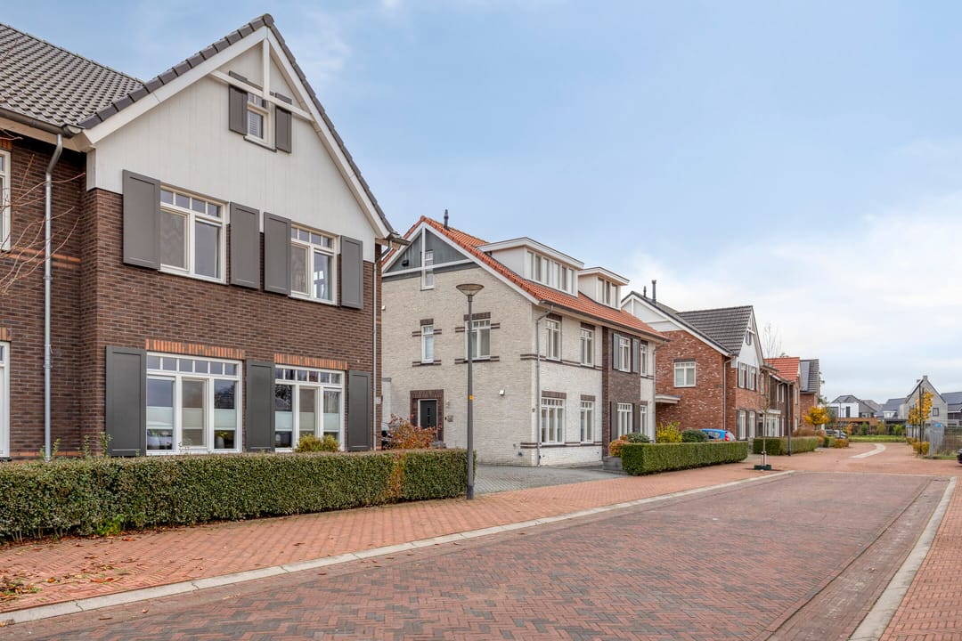 Photo 38 of Citroenvlinder 25