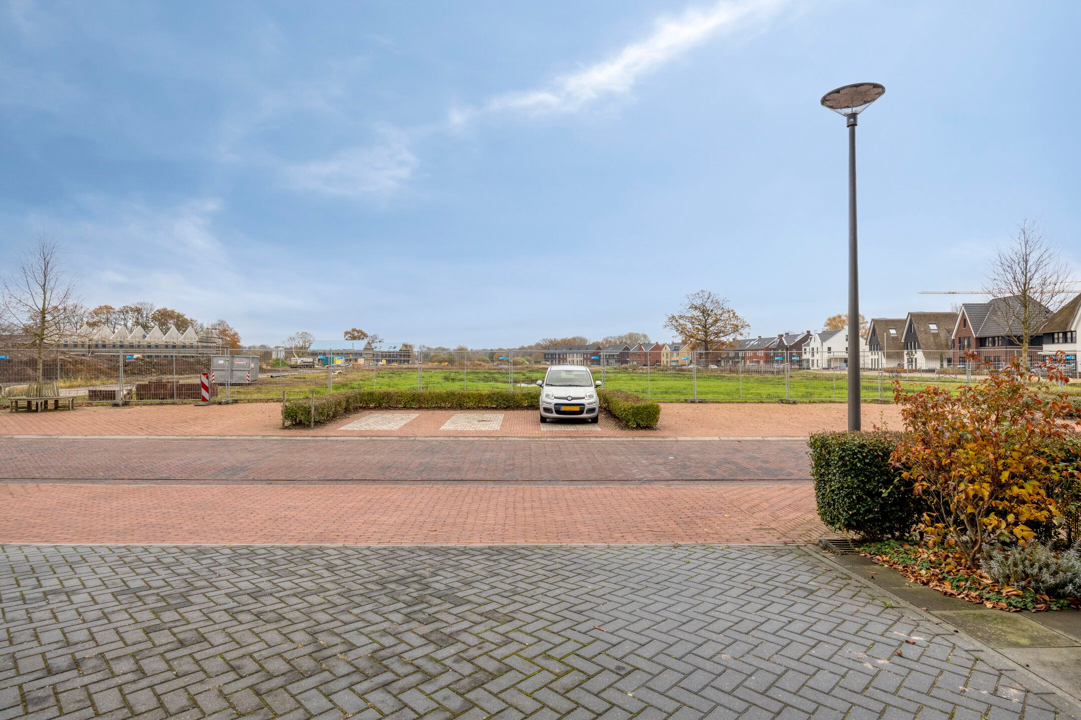 Photo 39 of Citroenvlinder 25