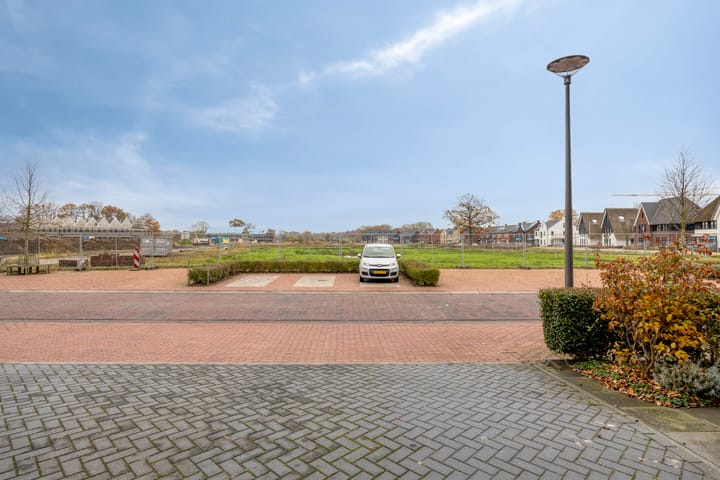 Foto 39 van Citroenvlinder 25