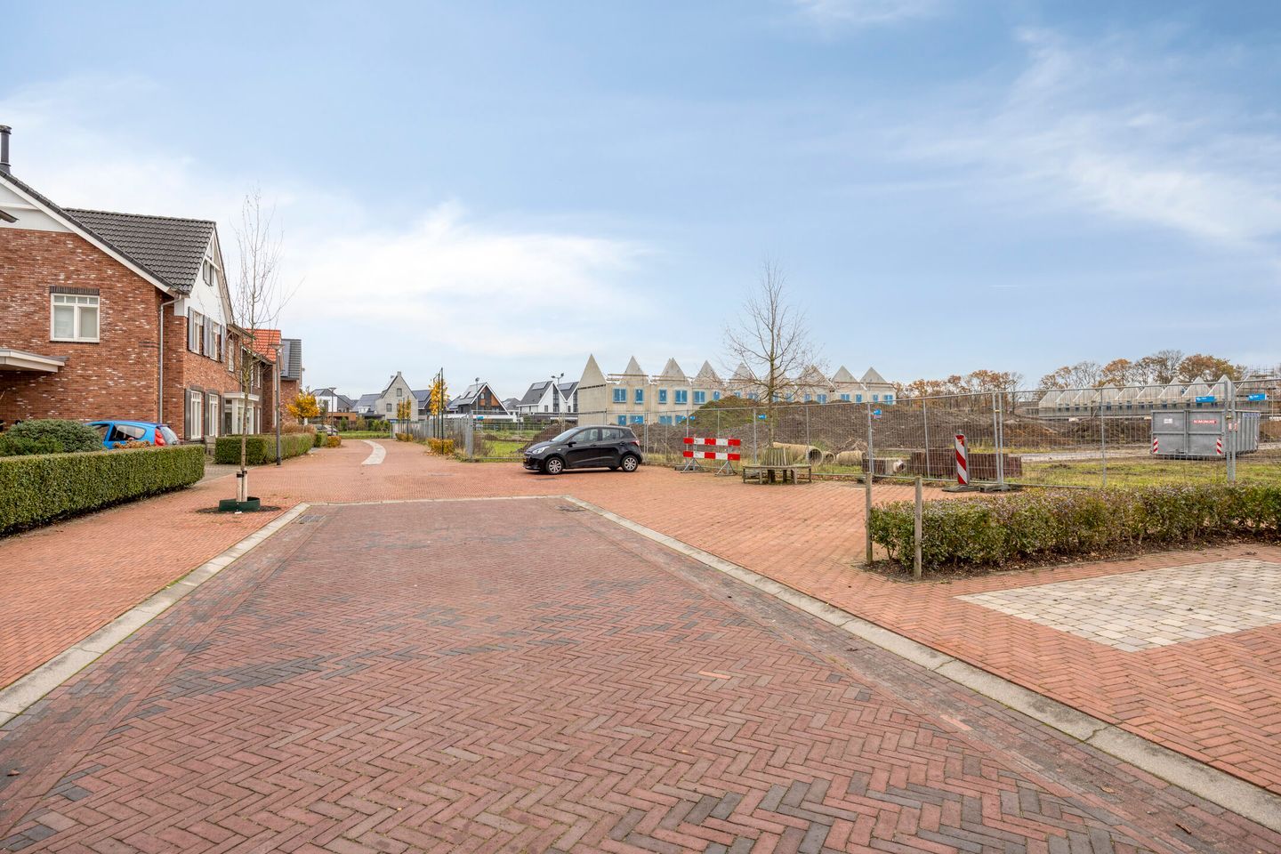 Photo 40 of Citroenvlinder 25