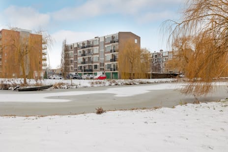 Zwaanstraat thumbnail