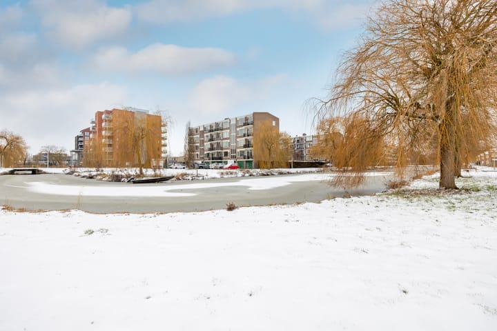 Foto 47 van Zwaanstraat 21