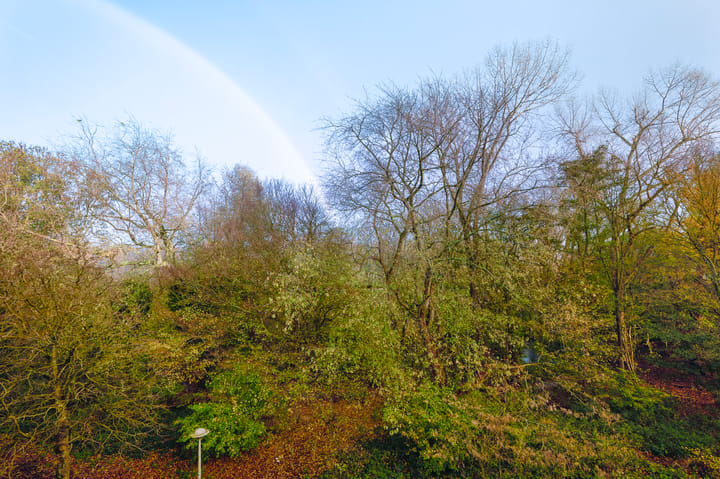 Foto 18 van Kramatweg 90-3