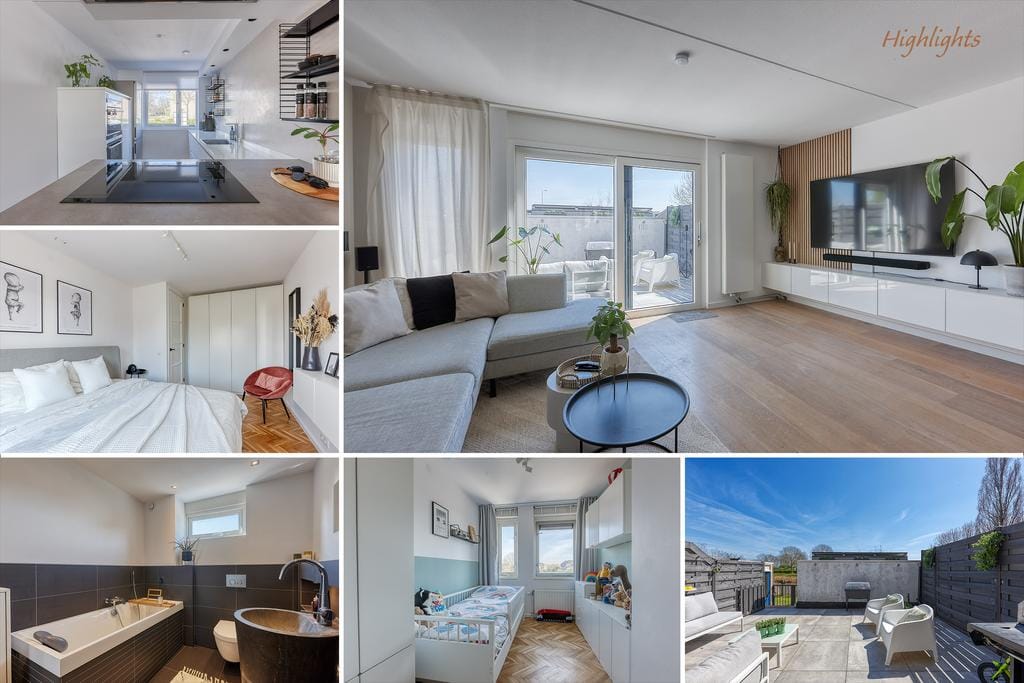 Photo 2 of Bromelia 4