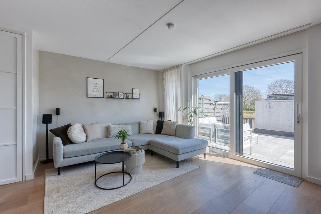 Photo 3 of Bromelia 4