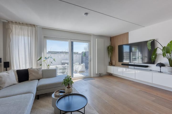 Foto 4 van Bromelia 4